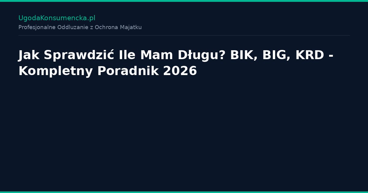 Jak Sprawdzić Ile Mam Długu? BIK, BIG, KRD - Kompletny Poradnik 2026